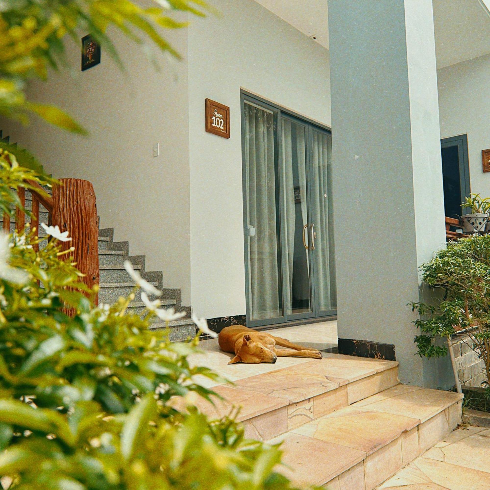 Voyage Phu Quoc Beach Resort Ngoại thất bức ảnh